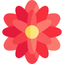 dalia icon