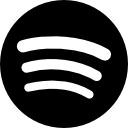 logotipo grande de spotify icon