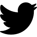 logotipo grande de twitter icon