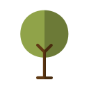 Árbol icon