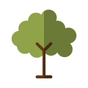 Árbol icon