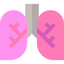 pulmones icon