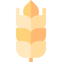 gluten icon