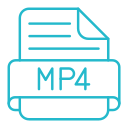 mp4