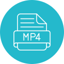 mp4