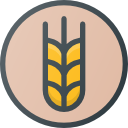 trigo icon
