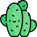 cactus icon