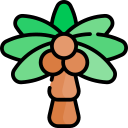 palmera icon