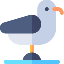 gaviota icon