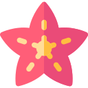 estrella de mar