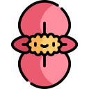 begonia icon