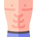 abdominales icon