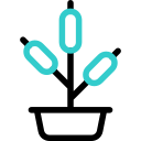 Plant icon