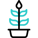 Plant icon