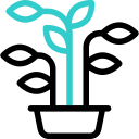 Plant icon