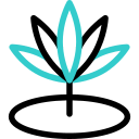 Plant icon