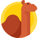 camello icon