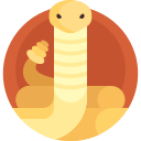 serpiente de cascabel icon