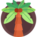 palmera icon