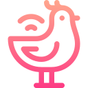 pollo icon