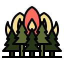 incendio forestal icon