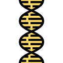 estructura del adn