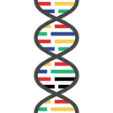 estructura del adn 