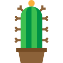 cactus icon