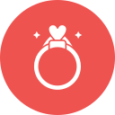 anillo icon