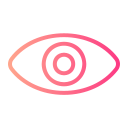 ojo icon