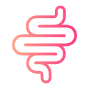 intestino icon