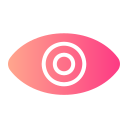 ojo icon