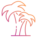 palmera