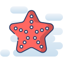 estrella de mar icon