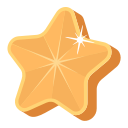 estrella icon