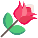 rosa icon