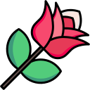 rosa icon