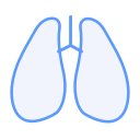 pulmones icon