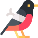 pájaro icon