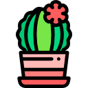 cactus icon