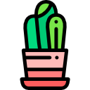 cactus icon