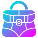 bolso icon