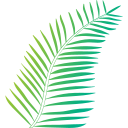 palmera icon