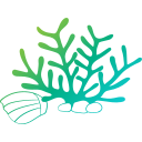 coral icon