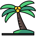 palmera icon