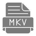 mkv icon