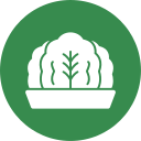 kimchi icon