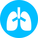 pulmones 