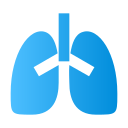 pulmones 