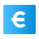 euro icon